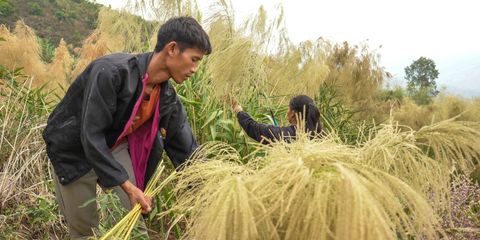 A new beginning in the mountains